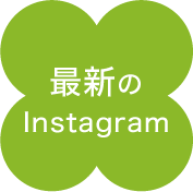 インスタグラム最新記事