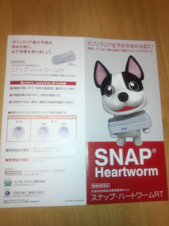 我が家の癒し犬 福山リハビリテーション病院 我が家の癒し犬 福山リハビリテーション病院